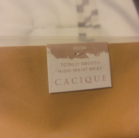 Lane Bryant High waisted Brief - Picture 2 of 4